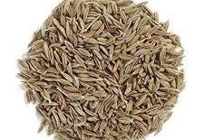 Cumin Seed-2