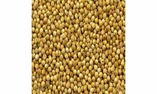 Eagle Plus Coriander