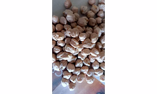 White Chickpeas
