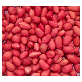 Peanuts