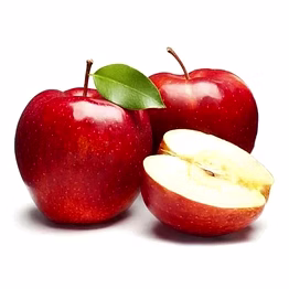 apple fruit