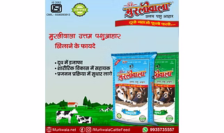 MURLIWALA CATTLE FEED