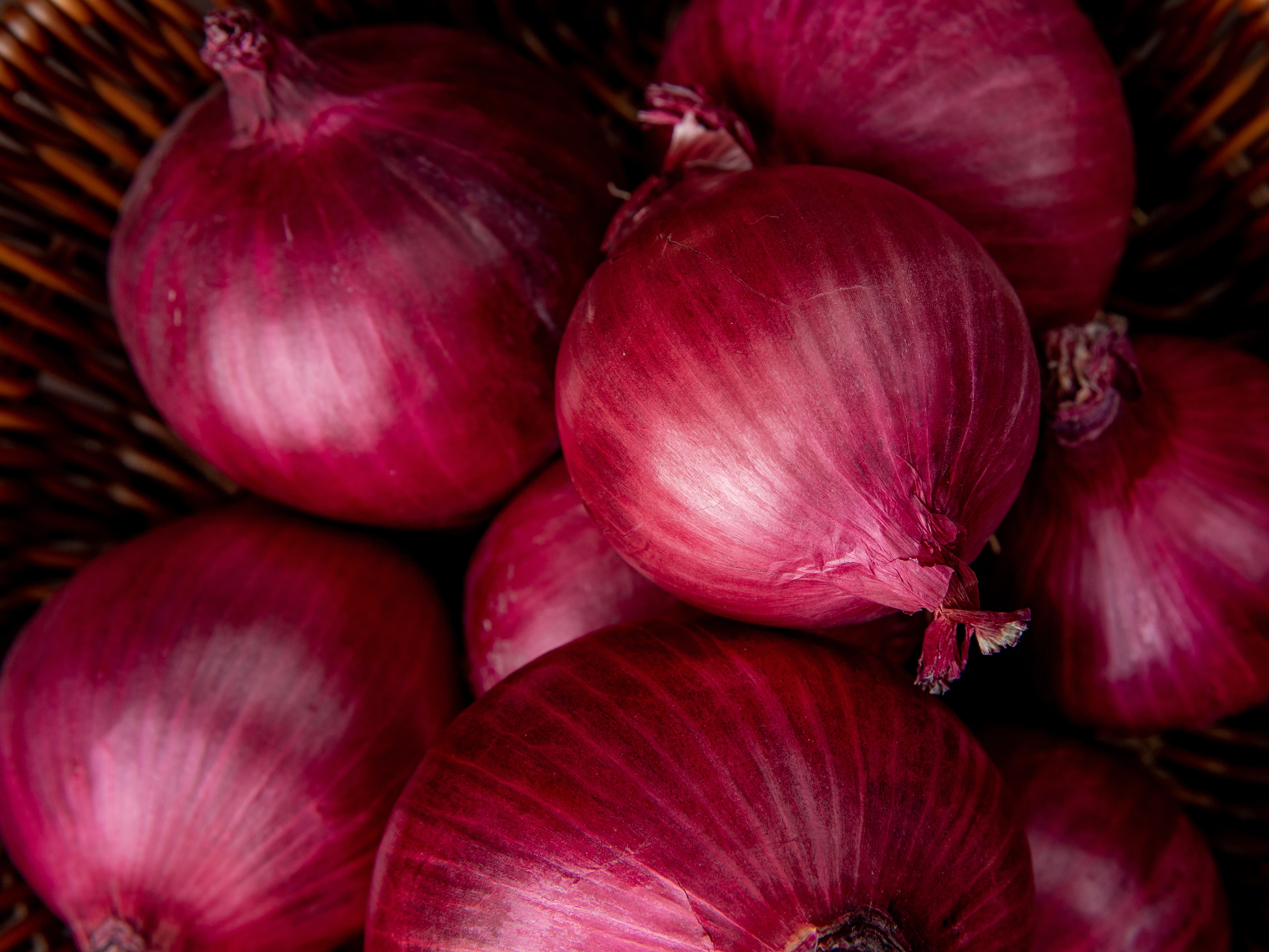 Export Quality Fresh Onions-12556758