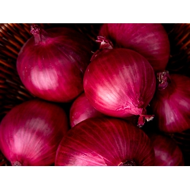 Export Quality Fresh Onions