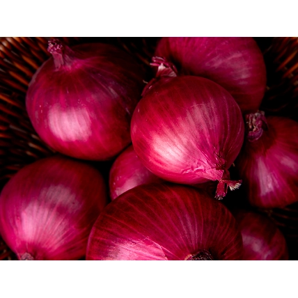 Export Quality Fresh Onions-12556758