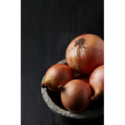 Export Quality Fresh Onions-2