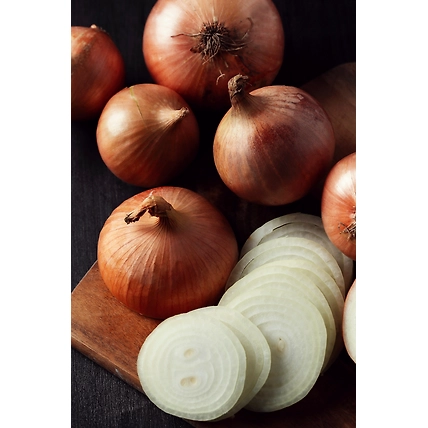 Export Quality Fresh Onions-4