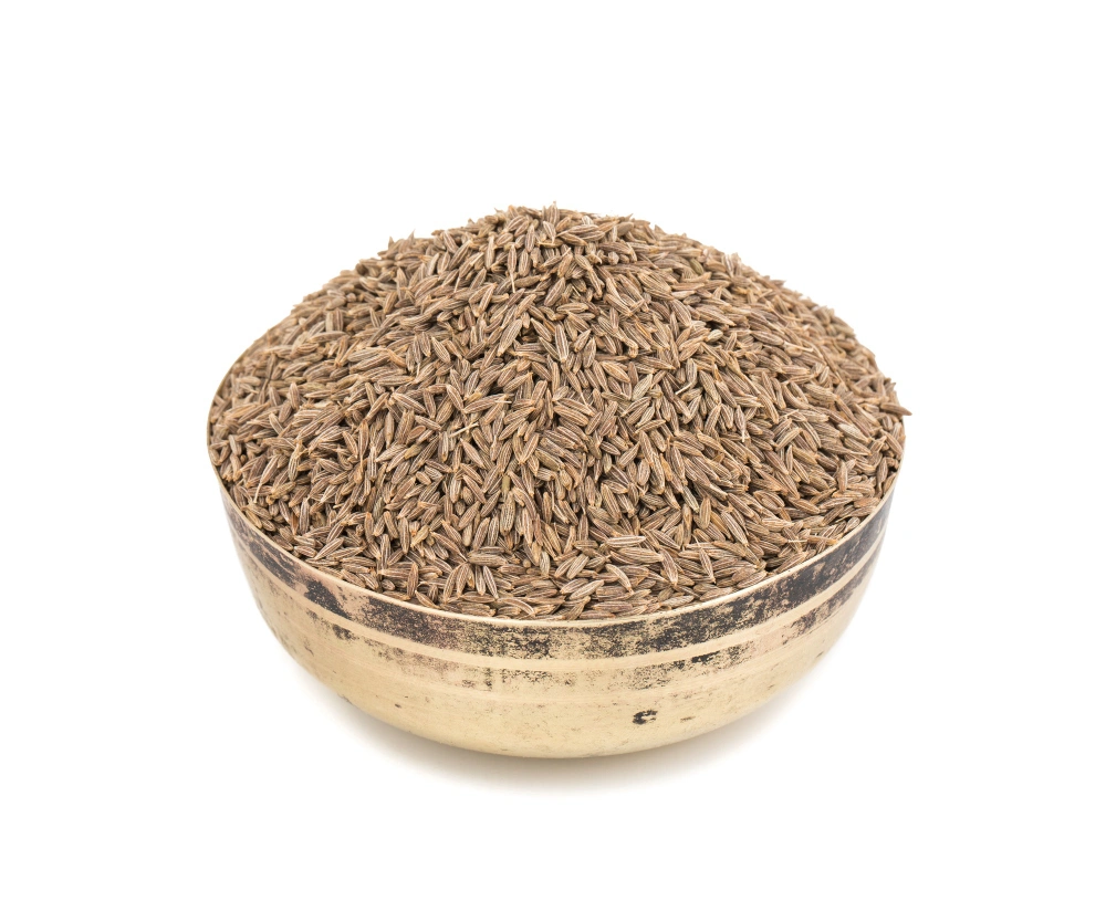 Cumin Seeds-3