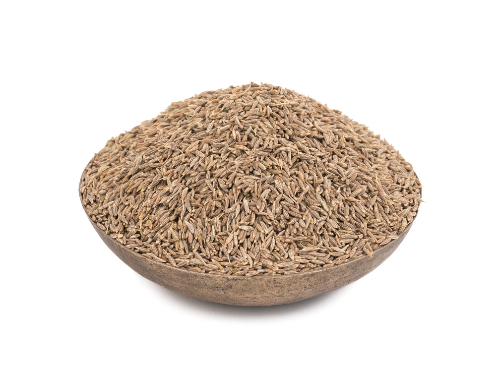 Cumin Seeds-2