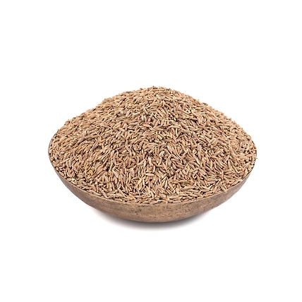 Cumin Seeds-2