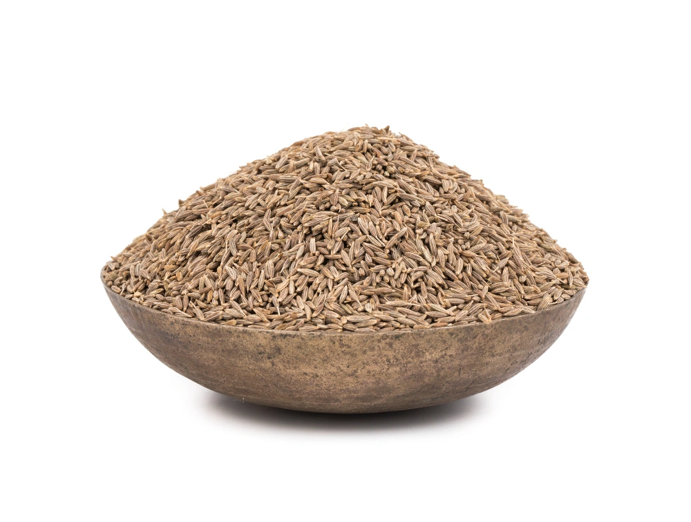 Cumin Seeds-1