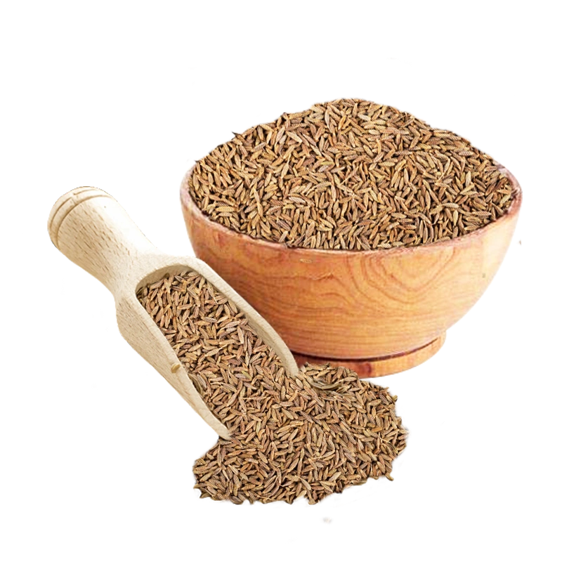 Cumin Seeds-4