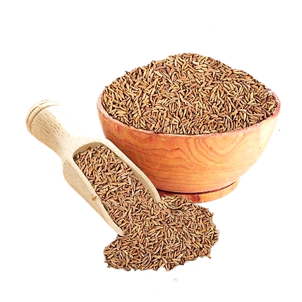 Cumin Seeds-4