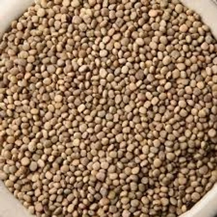 guar gum seeds (cluster beans seeds)