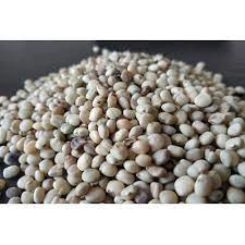 guar gum seeds (cluster beans seeds)-2