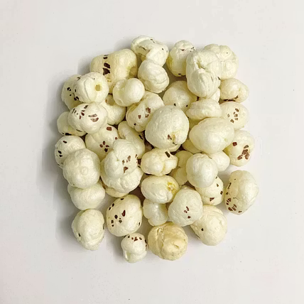 Foxnut-19041090