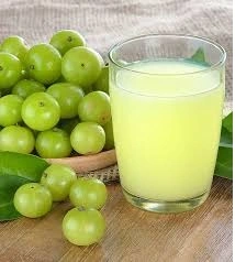 Herbal Juice_ Immunity Booster , Aloevera , Amla, Diabetic Care, Wheat Grass, Karela Jamun Juice-1