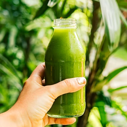 Herbal Juice_ Immunity Booster , Aloevera , Amla, Diabetic Care, Wheat Grass, Karela Jamun Juice-3