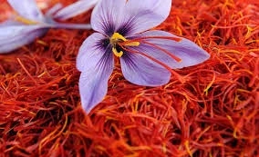 Kashmiri Saffron-1