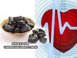 Pure Himalayan Shilajit-2