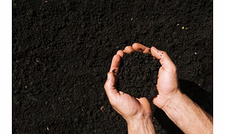 Vermi Compost