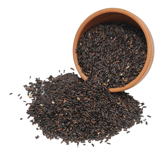 Black Rice-12463870