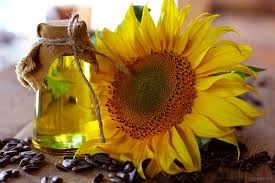 Sunflower Oil-2