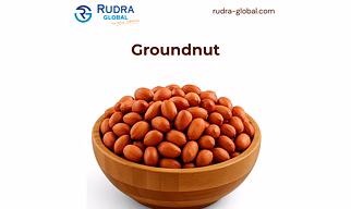 Peanut  Kernels | Groundnut