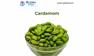Green Cardamom