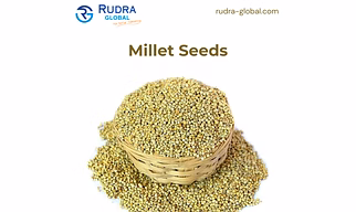 Millet Seeds