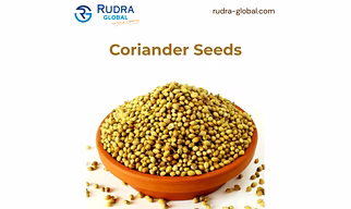 Coriander Seeds