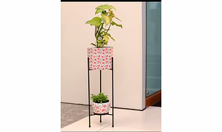 Cast Iron Planter