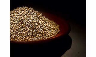 Grains