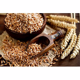 wheat