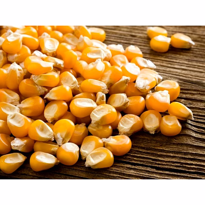 maize