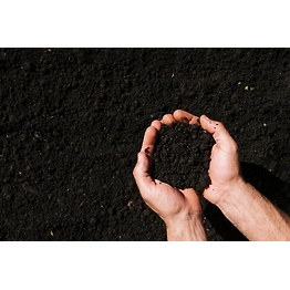 Vermicompost