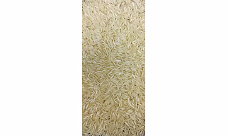 1121 STEAM BASMATI RICE