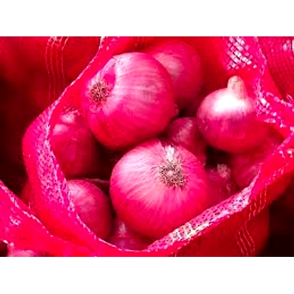Fresh  Red Onion-1
