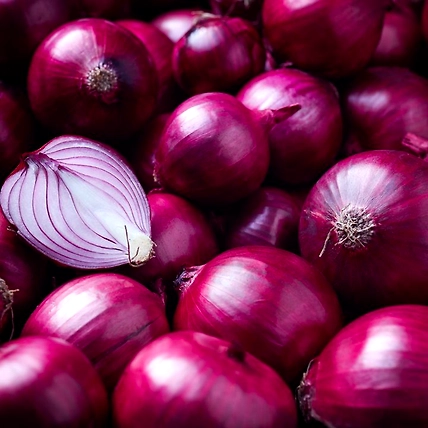 Fresh  Red Onion-4