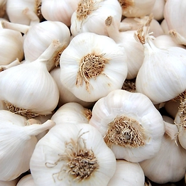 A+ Grade Fresh Garlic