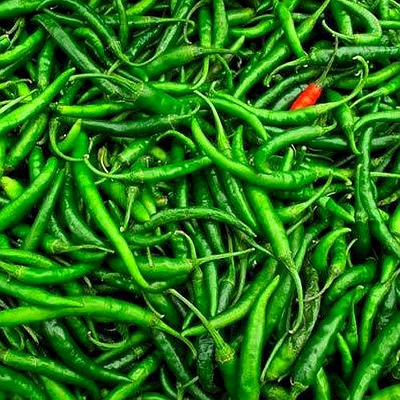 a+ grade fresh green chilli g4