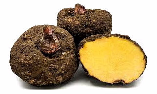 Suran (Elephant Yam)