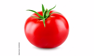 Fresh Tomato