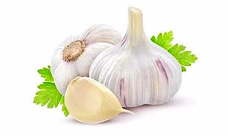 Fresh Garlic