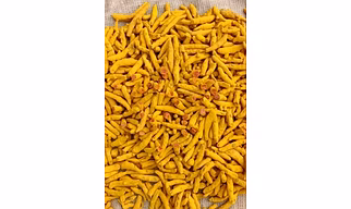 Premium Turmeric Finger