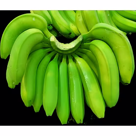 G9 Cavendish Banana