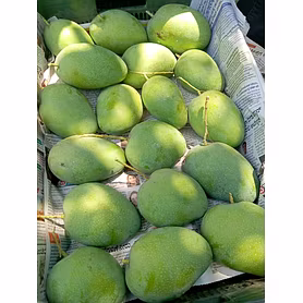 Badami mango