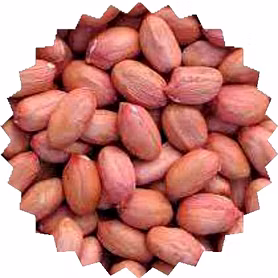 Peanuts