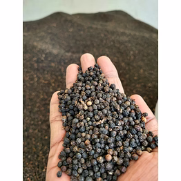 black pepper (malabar)