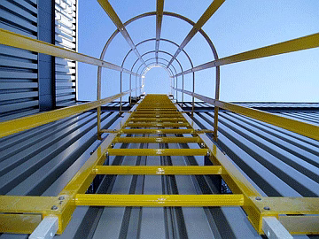 Aeron FRP Cage Ladder image 1